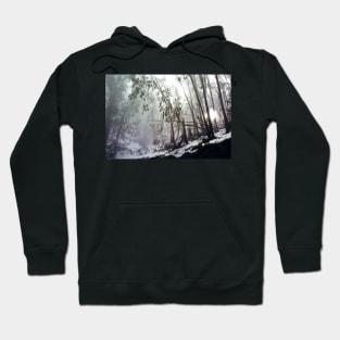 Misty Trees, Mount Buffalo Hoodie